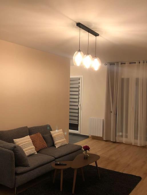 Superbe Appartement Tout Equipe, Le Nid D'Eva A Metz Gare, Parking Prive, Balcon, F2, 50M2, 3P Kültér fotó