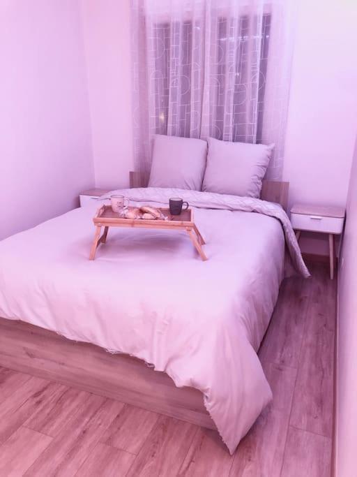 Superbe Appartement Tout Equipe, Le Nid D'Eva A Metz Gare, Parking Prive, Balcon, F2, 50M2, 3P Kültér fotó