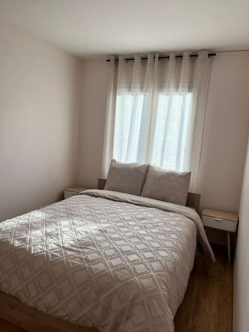 Superbe Appartement Tout Equipe, Le Nid D'Eva A Metz Gare, Parking Prive, Balcon, F2, 50M2, 3P Kültér fotó